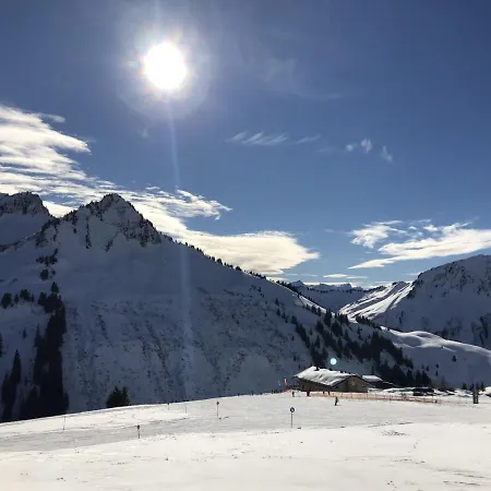 Apartament Ferienwohnung Maier - *